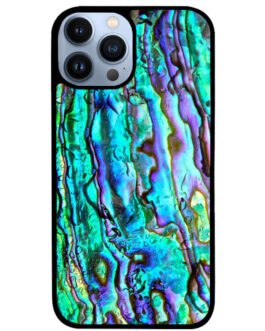 abalone iPhone 13 , 13 Mini , 13 Pro , 13 Pro Max Case FZI3733