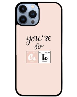 YOU ARE SO iPhone 13 , 13 Mini , 13 Pro , 13 Pro Max Case FZI7273