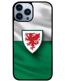 Wales Football Team iPhone 13 , 13 Mini , 13 Pro , 13 Pro Max Case FZI10196