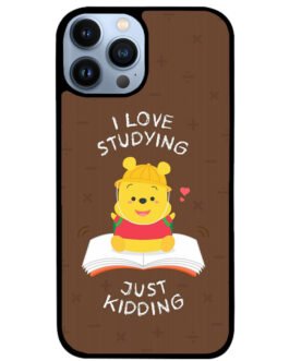 Winnie The Pooh Studying iPhone 13 , 13 Mini , 13 Pro , 13 Pro Max Case FZI6843