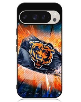 Bears Google Pixel 9 Pro XL , Pixel 9 Pro , Pixel 9 Case FZI0021